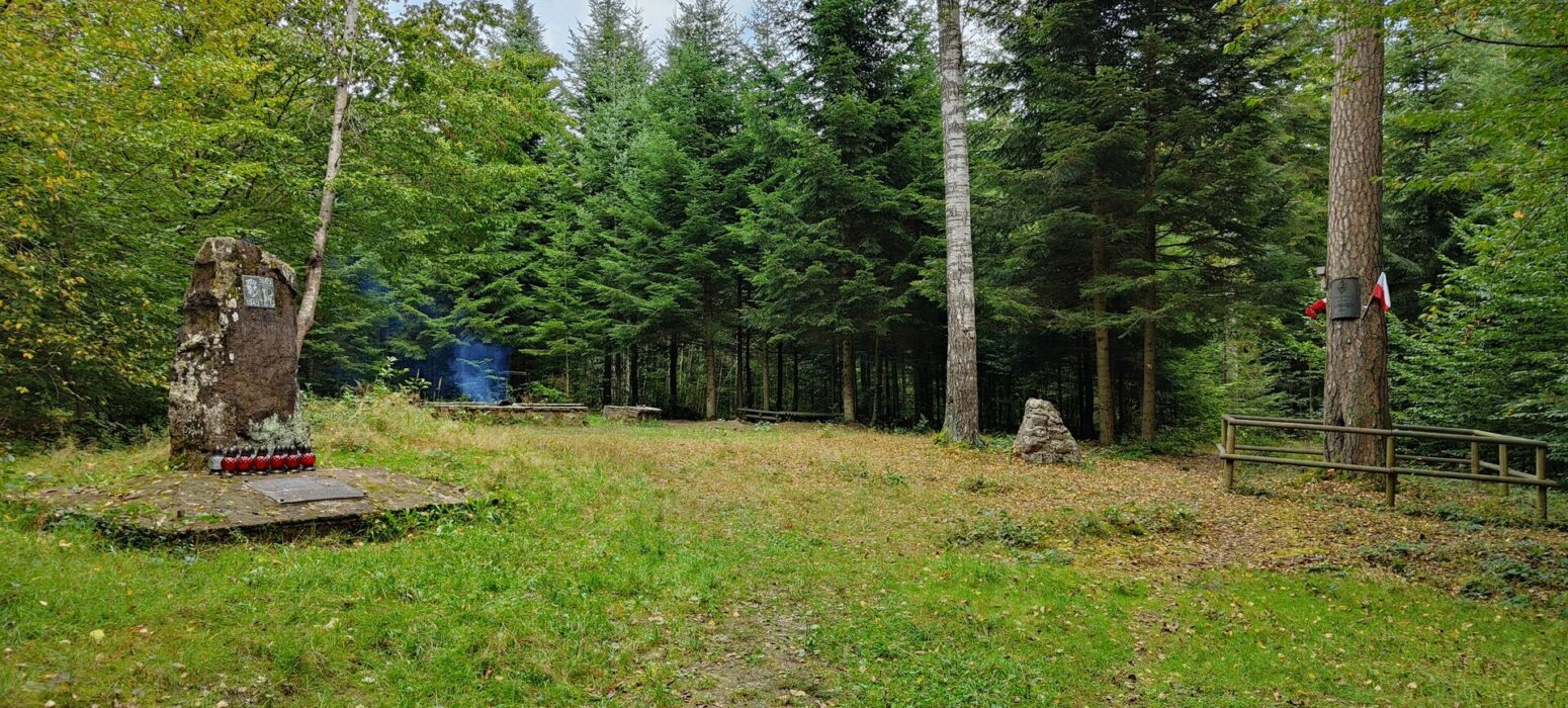 Polana Langiewicza, czyli miejsce stacjonowania oddziałów powstańczych podczas Powstania Styczniowego